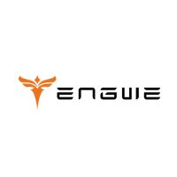 Engwe EU