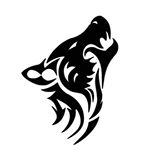 Silver Fox Collectibles
