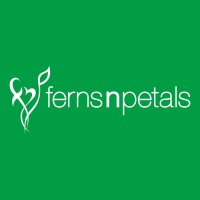 Ferns N Petals SG