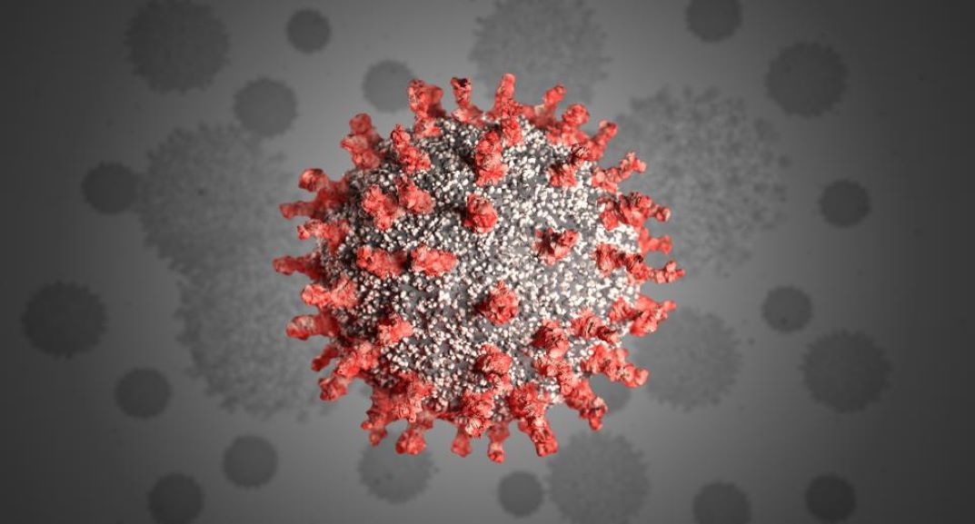 The basic history narrates that the Coronavirus was found in 1965